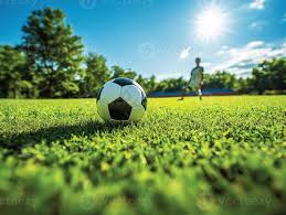 数据可视化图表